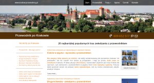 picture of Wawel in Krakow website development frontend developer rental